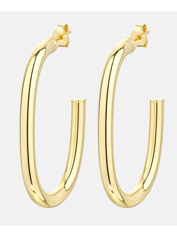 Vanlere Creolen aus 375 Gelbgold
