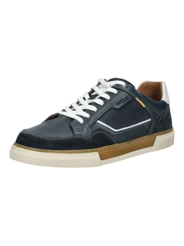 Camel Active Sneaker in Navy/Weiß