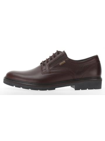 Ecco Schnürschuh in braun