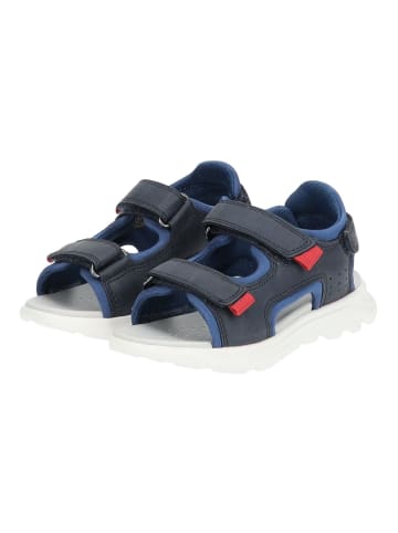 Geox Sandalen in Navy