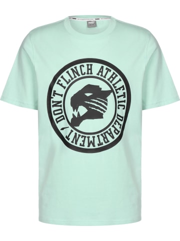 Puma Puma T-Shirts in marshmallow/arctic ice