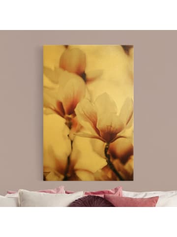 WALLART Leinwandbild Gold - Zarte Magnolienblüten im Lichtspiel in Rosa