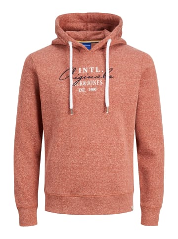 Jack & Jones Sweatshirt 'Willowbranding' in Orange