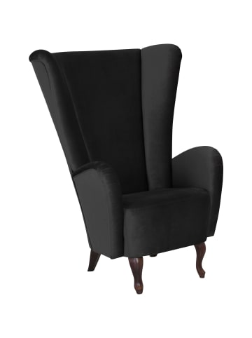 others HOCHLEHNSESSEL Kailey Bezug Samtvelours Buche nussbaum dunkel / schwarz