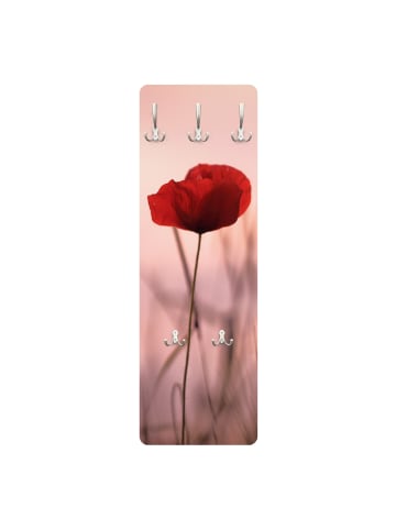 WALLART Garderobe - Mohnblüte in der Dämmerung in Rosa