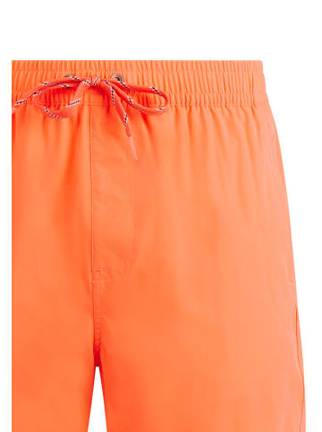 Protest " PRTBaky in Burnt Peach