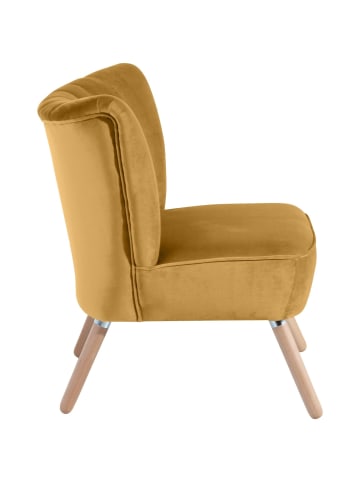 58 aufm Kessel SESSEL Kadisha Bezug Samtvelours Buche natur / mais