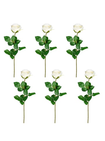 Creativ green 6er Set: Deko-Gartenrose Langstiel in creme