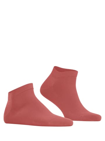 Falke Sneakersocken Cool 24/7 in Lobster