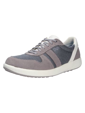 Joya Schnürschuh SVEN GREY in grau