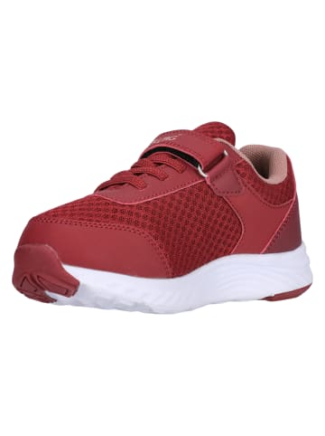 Zigzag Sneaker Pilolen in 4244 Red Pear