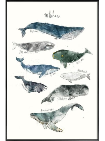 Juniqe Poster in Kunststoffrahmen "Whales" in Blau & Cremeweiß