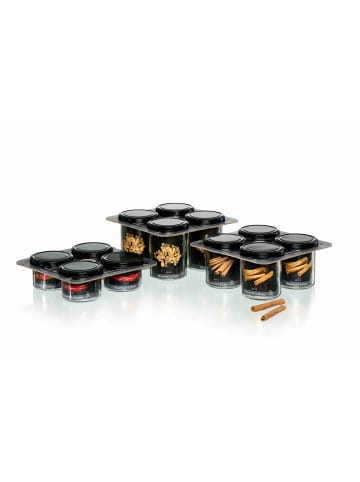 Ritzenhoff & Breker 4er Set Vorratsgläser-Set Mara 230 ml in transparent