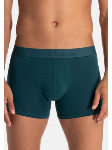 Bruno Banani Retro Short / Pant Flowing in Grün / schwarz