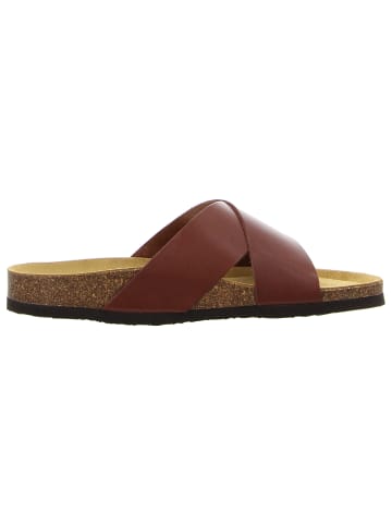 Plakton Klassische Pantolette in braun