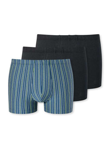 Schiesser Trunk 95/5 in schwarz, blau