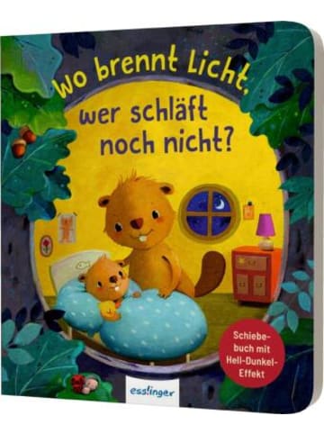 Esslinger Buch - Wo brennt Licht, wer schläft noch nicht?
