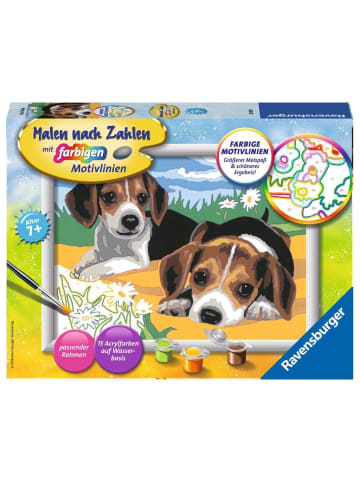 Ravensburger Malprodukte Jack Russel Welpen Malen nach Zahlen Kinder 7-99 Jahre in bunt