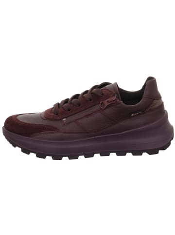 Legero Schnürschuh in rot