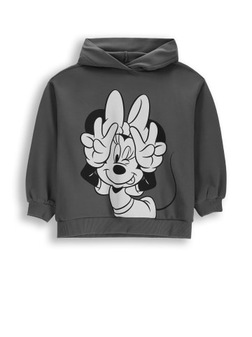 Coccodrillo Baumwoll-sweatshirt in grau