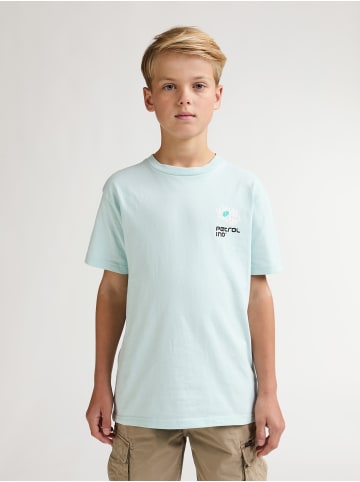 Petrol Industries T-Shirt mit grafischem Rückenprint Aguila in Grün