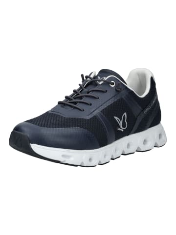 Caprice Sneaker in Ozean
