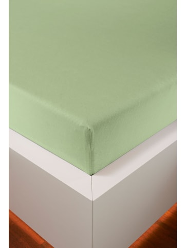 bellana jersey Spannbetttuch Edel-Jersey Elasthan in lind