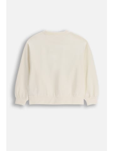 Coccodrillo Oversize-Sweatshirt in violett