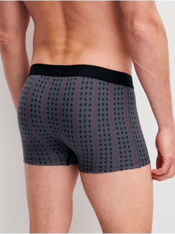 Calida New Boxer in anthrazit