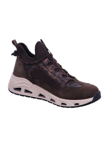 rieker Sneaker in erde/bronze/antik/braun