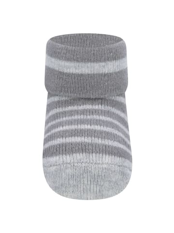 ewers 6er-Set Newborn Socken 6er Pack Hund in 001-002