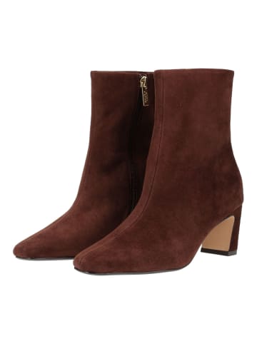 Steve Madden Stiefelette WILLAH Braun