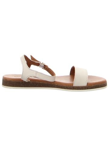 Apple of Eden Sandaletten in beige
