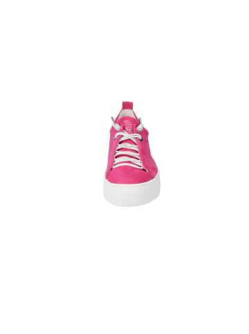 Paul Green Lowtop-Sneaker in Pink