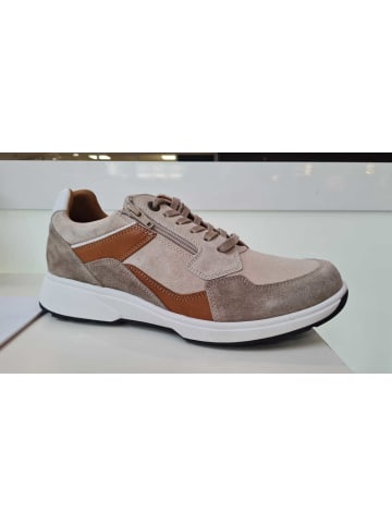 Xsensible Schnürschuh in taupe