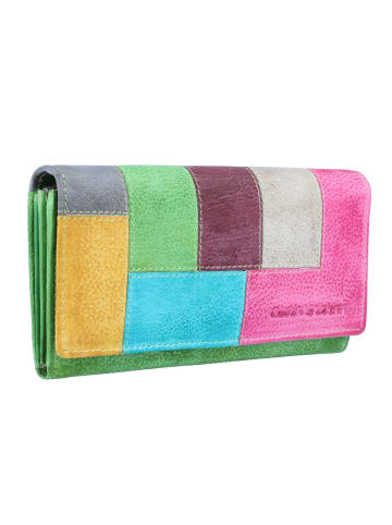 Greenburry Candy-Shop Geldbörse Leder 18 cm in rorest-multi
