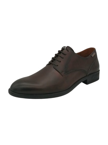 Pikolinos Business Schnürschuhe in Braun