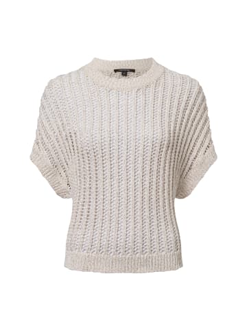 comma Stricktop in sand - 0001