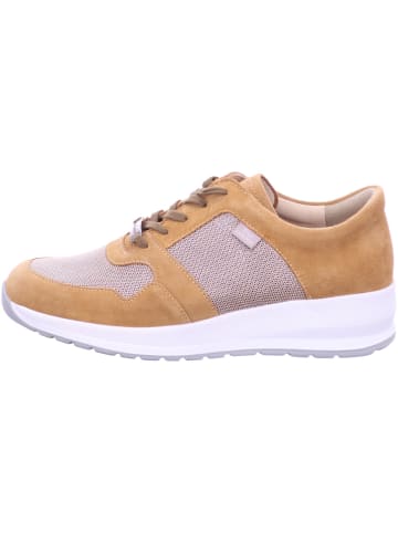 Finn Comfort Sneaker Low in braun