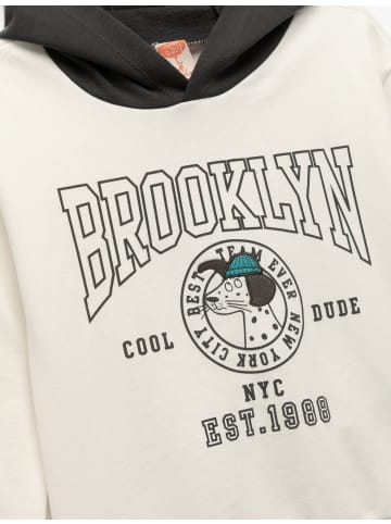 KOTON SWEATSHIRTS in Ekru