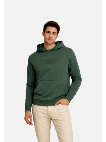 Jack & Jones Hoodie 'Aiden' in grün
