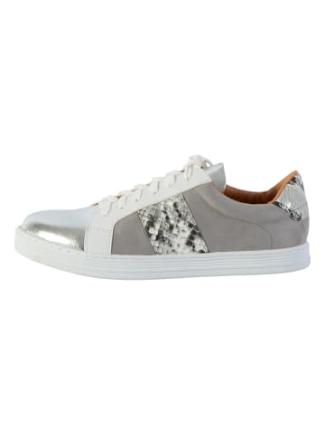 Divine Factory Sneakers Grau