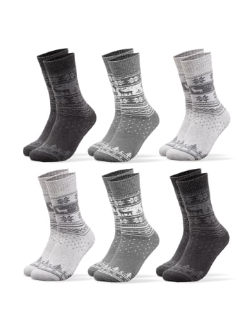 Occulto 6er Pack Norweger Socken Frida in Grau