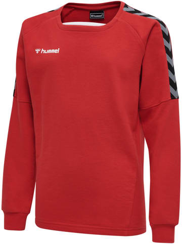 Hummel Sweatshirt Hmlauthentic Kinder in TRUE RED