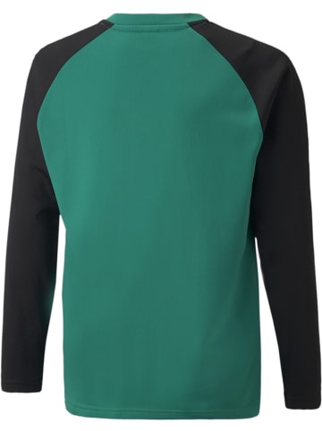 Puma Pullover "TeamLIGA Training Sweat Jr" in Grün
