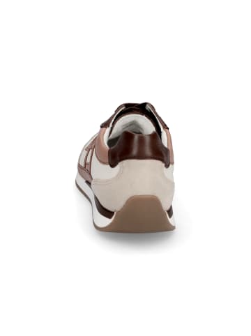 ara Sneaker Portofino in Offwhite Multi