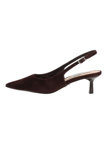 Steve Madden Pumps KORRA in Coffee