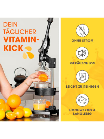 Lumaland Entsafter Edelstahl/schwarz  Schwarz