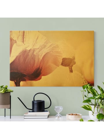 WALLART Leinwandbild Gold - Zartrosane Mohnblüte mit Wassertropfen in Rosa