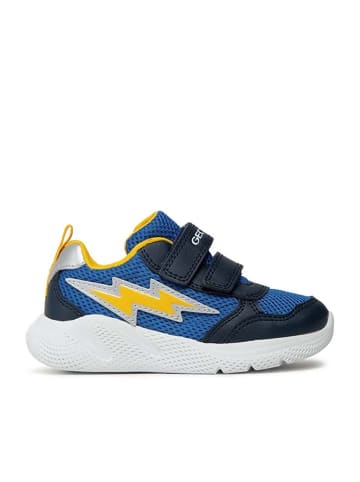Geox Boy - in Royal/Navy